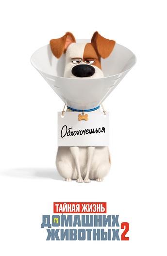 Тайная жизнь домашних животных смотреть онлайн